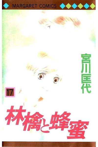 林檎と蜂蜜 17巻