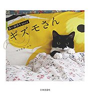 添い寝待ちneco ギズモさん