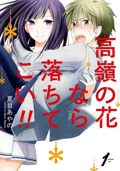 高嶺の花なら落ちてこい!! 1巻