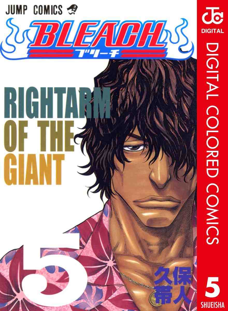 BLEACH カラー版 5巻