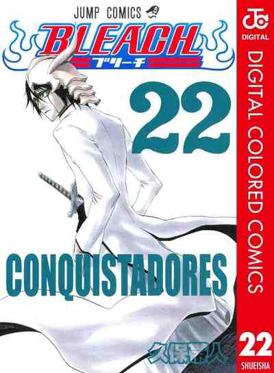 BLEACH カラー版 22巻