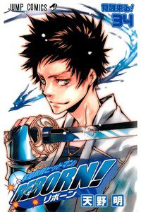 家庭教師ヒットマンREBORN! 34巻