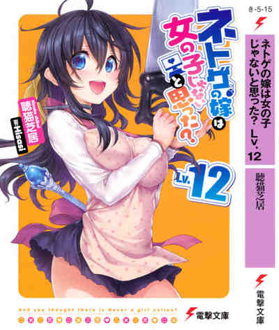 ネトゲの嫁は女の子じゃないと思った? 12巻