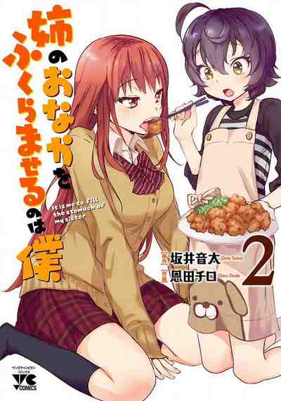 姉のおなかをふくらませるのは僕 2巻